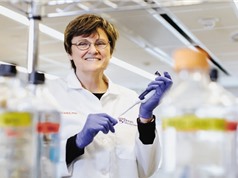 Khi khoa học là ánh sao Bắc Đẩu